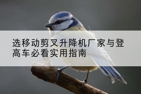 阿勒泰电动升降机厂家-选移动剪叉升降机厂家与登高车必看实用指南