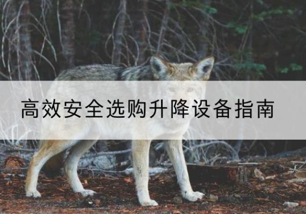 阿勒泰升降货梯厂家推荐-*安全选购升降设备指南