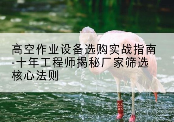 阿勒泰剪叉式升降机厂家-高空作业设备选购实战指南-十年工程师揭秘厂家筛选核心法则