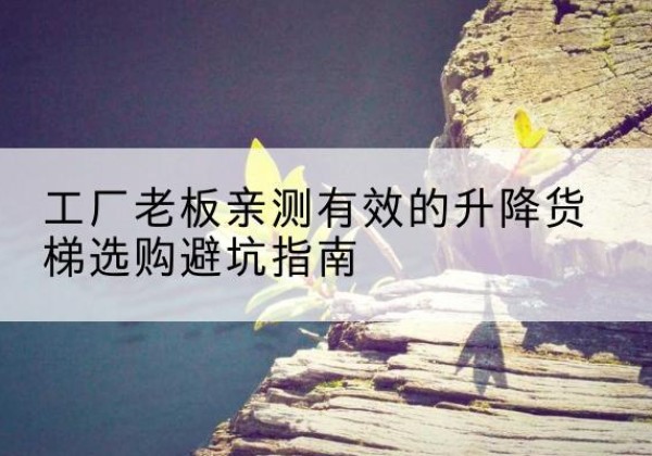 阿勒泰升降货梯怎么选-工厂老板亲测有效的升降货梯选购避坑指南